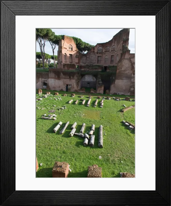 Framed Print : Imperial palace at Forum Romanum, Palatine Hill, Rome, Lazio, Italy, Europe Framed Print : Imperial palace at Forum Romanum, Palatine Hill, Rome, Lazio, Italy, Europe