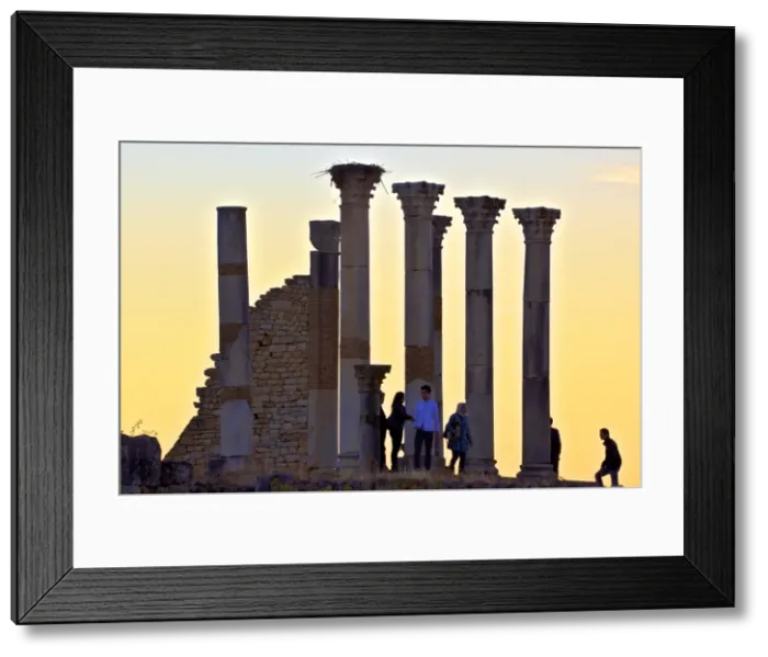 Framed Print : Tourists at excavated Roman City of Volubilis, UNESCO World Heritage Site, Morocco, North Africa, Africa Framed Print : Tourists at excavated Roman City of Volubilis, UNESCO World Heritage Site, Morocco, North Africa, Africa