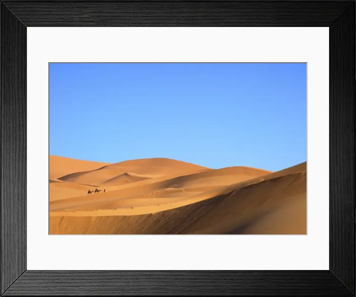Framed Print : Camels in desert landscape, Merzouga, Morocco, North Africa, Africa Framed Print : Camels in desert landscape, Merzouga, Morocco, North Africa, Africa