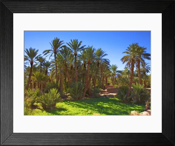 Framed Print : Oasis at Tamnougalt, Morocco, North Africa, Africa