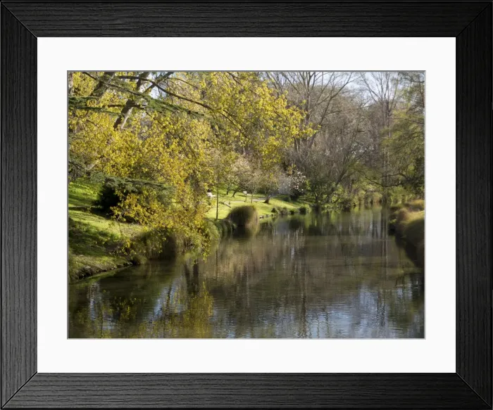 Framed Print : River Avon in Botanic Gardens, Christchurch, Canterbury, South Island, New Zealand, Pacific Framed Print : River Avon in Botanic Gardens, Christchurch, Canterbury, South Island, New Zealand, Pacific