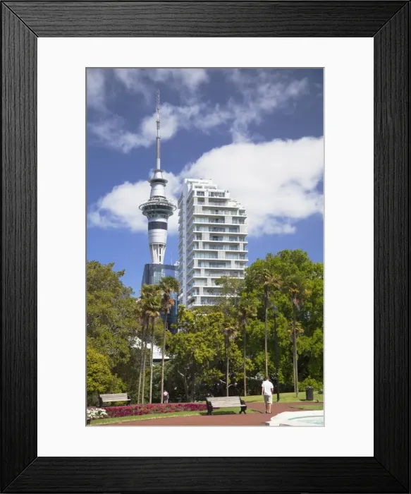 Framed Print : View of Sky Tower from Albert Park, Auckland, North Island, New Zealand, Pacific Framed Print : View of Sky Tower from Albert Park, Auckland, North Island, New Zealand, Pacific