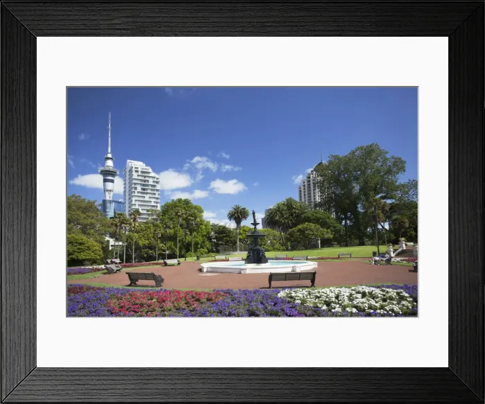 Framed Print : View of Sky Tower from Albert Park, Auckland, North Island, New Zealand, Pacific Framed Print : View of Sky Tower from Albert Park, Auckland, North Island, New Zealand, Pacific