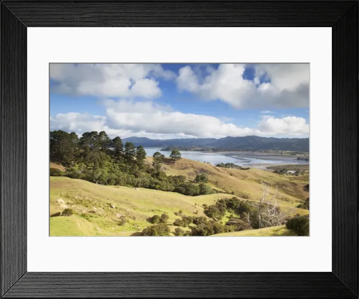 Framed Print : View of Manaia Harbour and farmland, Coromandel Peninsula, Waikato, North Island, New Zealand, Pacific Framed Print : View of Manaia Harbour and farmland, Coromandel Peninsula, Waikato, North Island, New Zealand, Pacific