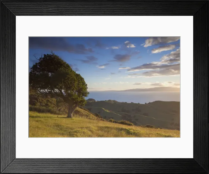 Framed Print : View of Firth of Thames, Coromandel Peninsula, Waikato, North Island, New Zealand, Pacific Framed Print : View of Firth of Thames, Coromandel Peninsula, Waikato, North Island, New Zealand, Pacific