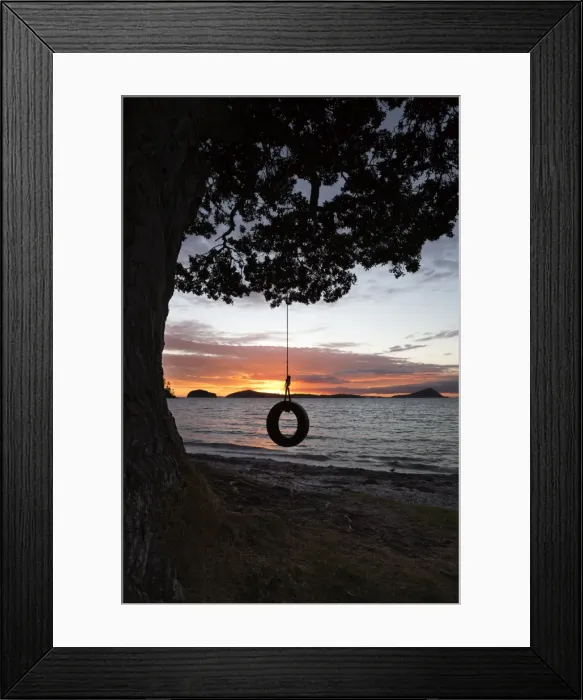 Framed Print : Tyre Swing at Long Bay, Coromandel, Coromandel Peninsula, Waikato, North Island, New Zealand, Pacific Framed Print : Tyre Swing at Long Bay, Coromandel, Coromandel Peninsula, Waikato, North Island, New Zealand, Pacific
