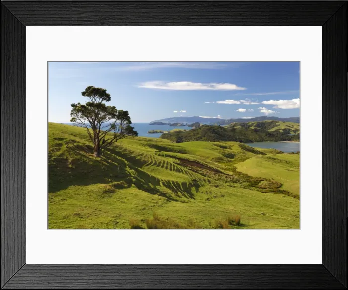 Framed Print : Coastline looking north towards Coromandel and Hauraki Gulf, Coromandel Peninsula, Waikato, North Island, New Zealand, Pacific Framed Print : Coastline looking north towards Coromandel and Hauraki Gulf, Coromandel Peninsula, Waikato, North Island, New Zealand, Pacific