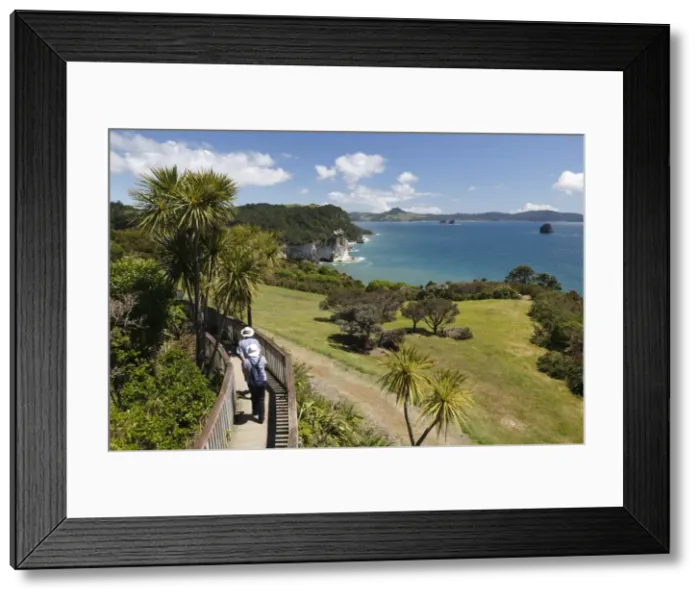 Framed Print : View along Cathedral Cove Recreational Reserve, Hahei, Coromandel Peninsula, Waikato, North Island, New Zealand, Pacific Framed Print : View along Cathedral Cove Recreational Reserve, Hahei, Coromandel Peninsula, Waikato, North Island, New Zealand, Pacific