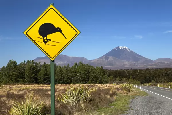 Mount Ngauruhoe with Kiwi crossing sign, Tongariro National Park, UNESCO World Heritage Site, North Island, New Zealand, Pacific