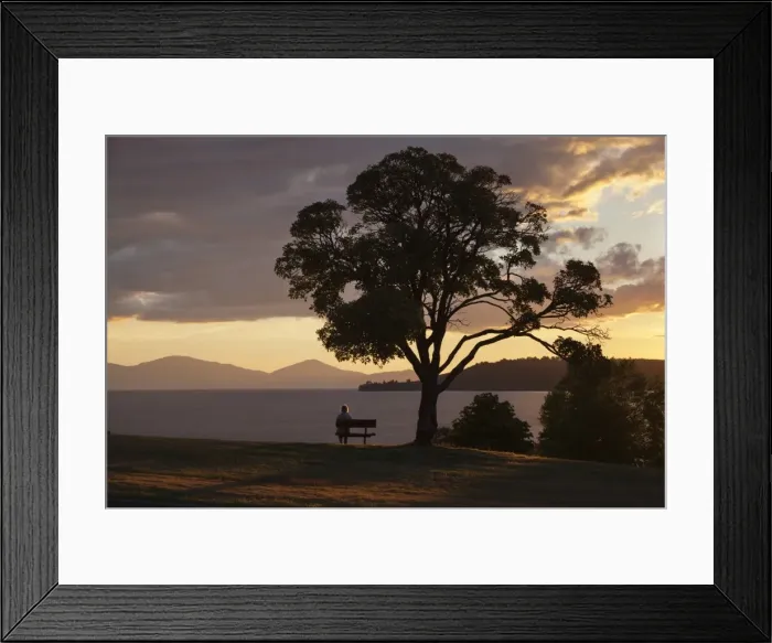 Framed Print : Bench and tree overlooking Lake Taupo, Taupo, North Island, New Zealand, Pacific Framed Print : Bench and tree overlooking Lake Taupo, Taupo, North Island, New Zealand, Pacific