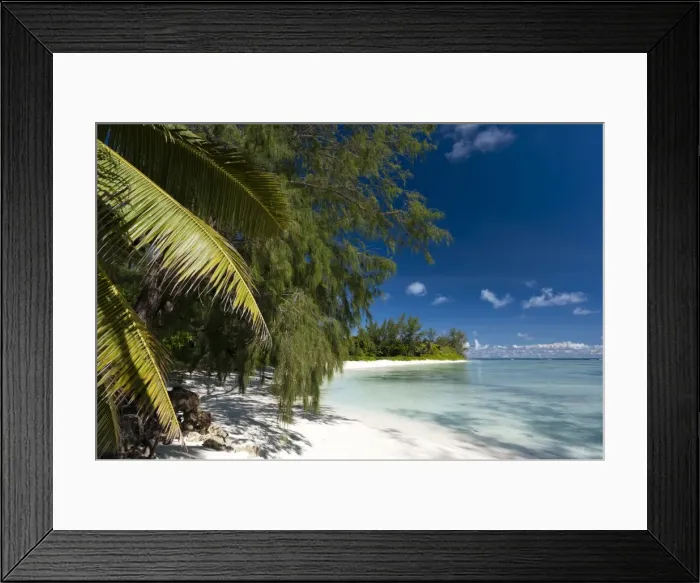 Framed Print : Denis Island, Seychelles, Indian Ocean, Africa Framed Print : Denis Island, Seychelles, Indian Ocean, Africa
