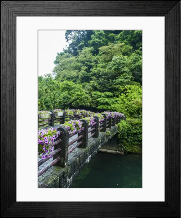 Framed Print : Stone bridge with flowers in Seogwipo, island of Jejudo, UNESCO World Heritage Site, South Korea, Asia Framed Print : Stone bridge with flowers in Seogwipo, island of Jejudo, UNESCO World Heritage Site, South Korea, Asia