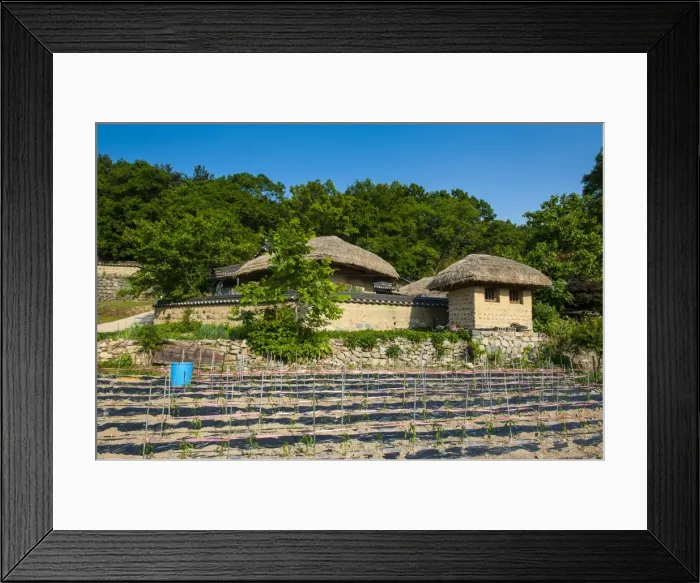 Framed Print : Field in front of traditional wooden houses in the Yangdong folk village near Gyeongju, South Korea, Asia Framed Print : Field in front of traditional wooden houses in the Yangdong folk village near Gyeongju, South Korea, Asia