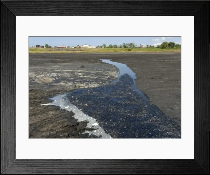 Framed Print : La Brea Pitch Lake, natural lake of tar rising from below with crust that can be walked on, near San Fernando, Trinidad, West Indies, Caribbean, Central America Framed Print : La Brea Pitch Lake, natural lake of tar rising from below with crust that can be walked on, near San Fernando, Trinidad, West Indies, Caribbean, Central America