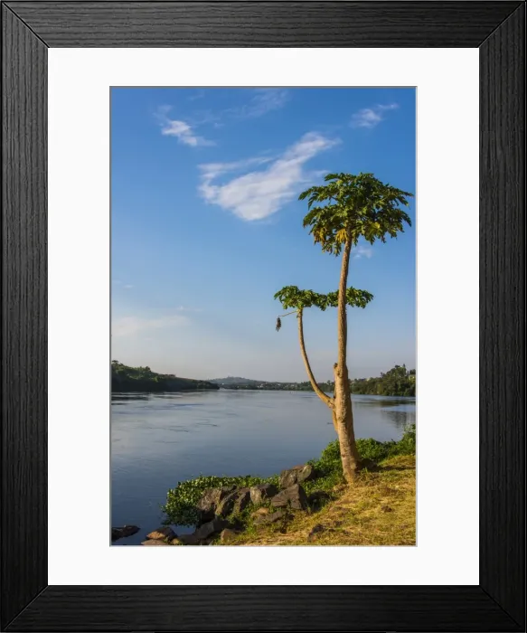 Framed Print : Source of the Nile in Jinja, Uganda, East Africa, Africa Framed Print : Source of the Nile in Jinja, Uganda, East Africa, Africa