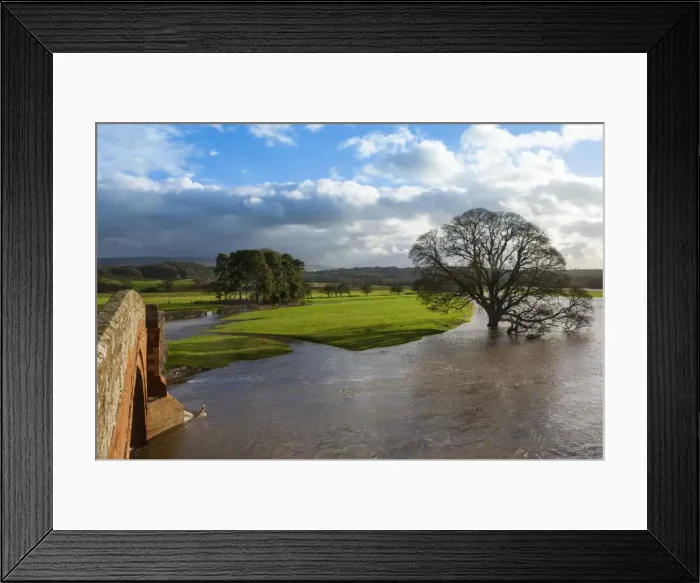 Framed Print : Floodwaters, Lazonby Bridge, River Eden, Eden Valley, Cumbria, England, United Kingdom, Europe Framed Print : Floodwaters, Lazonby Bridge, River Eden, Eden Valley, Cumbria, England, United Kingdom, Europe