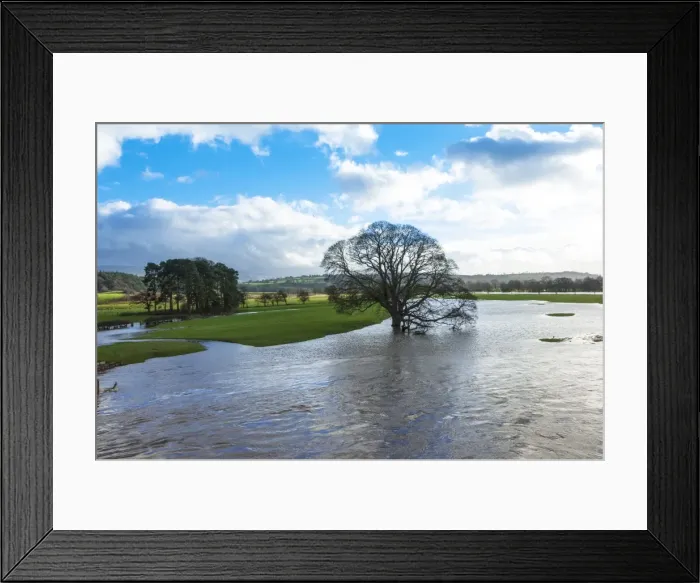 Framed Print : Floodwaters, River Eden, Eden Valley, Cumbria, England, United Kingdom, Europe Framed Print : Floodwaters, River Eden, Eden Valley, Cumbria, England, United Kingdom, Europe