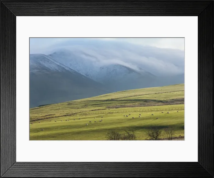 Framed Print : Winter clouds clinging to the Skiddaw Massif, sheep grazing on the fellside, Back o Skiddaw, Cumbria, England, United Kingdom, Europe Framed Print : Winter clouds clinging to the Skiddaw Massif, sheep grazing on the fellside, Back o Skiddaw, Cumbria, England, United Kingdom, Europe