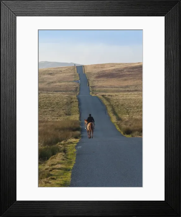 Framed Print : Lone Hunter, Caldbeck Fell Road, Back o Skiddaw, Cumbria, England, United Kingdom, Europe Framed Print : Lone Hunter, Caldbeck Fell Road, Back o Skiddaw, Cumbria, England, United Kingdom, Europe