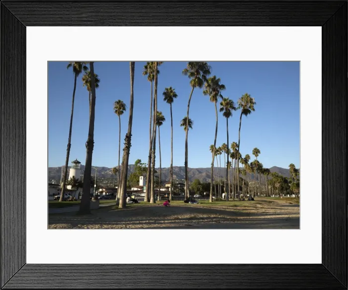 Framed Print : Palm trees behind beach, Santa Barbara, Santa Barbara County, California, United States of America, North America Framed Print : Palm trees behind beach, Santa Barbara, Santa Barbara County, California, United States of America, North America