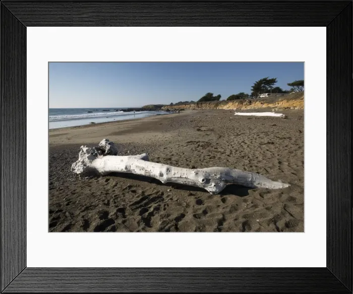 Framed Print : Driftwood on beach, Moonstone Beach Park, Cambria, San Luis Obispo county, California, United States of America, North America Framed Print : Driftwood on beach, Moonstone Beach Park, Cambria, San Luis Obispo county, California, United States of America, North America