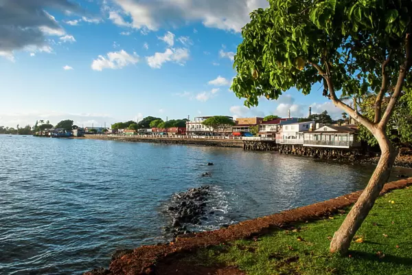 The town of Lahaina, Maui, Hawaii, United States of America, Pacific