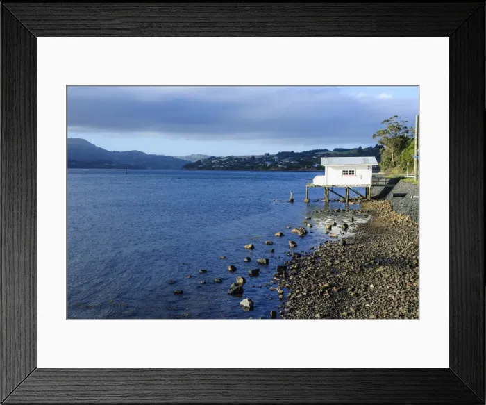 Framed Print : Little fishing cottage on a rocky beach, Otago Peninsula, Otago, South Island, New Zealand, Pacific Framed Print : Little fishing cottage on a rocky beach, Otago Peninsula, Otago, South Island, New Zealand, Pacific