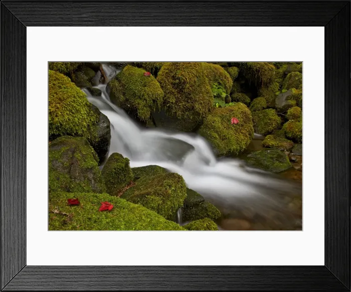 Framed Print : Cascade through moss-covered boulders, Olympic National Park, Washington State, United States of America, North America Framed Print : Cascade through moss-covered boulders, Olympic National Park, Washington State, United States of America, North America
