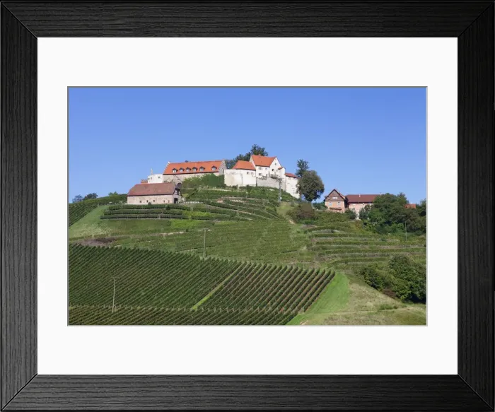 Framed Print : Staufenberg Castle, Durbach, Black Forest, Baden Wurttemberg, Germany, Europe Framed Print : Staufenberg Castle, Durbach, Black Forest, Baden Wurttemberg, Germany, Europe