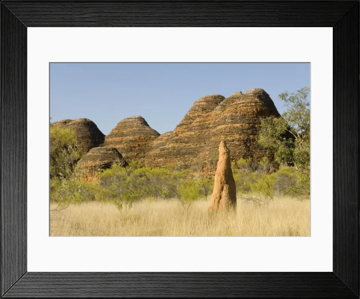 Framed Print : Sandstone hills and termite mounds in The Domes area of Purnululu National Park (Bungle Bungle), UNESCO World Heritage Site, Western Australia, Australia, Pacific Framed Print : Sandstone hills and termite mounds in The Domes area of Purnululu National Park (Bungle Bungle), UNESCO World Heritage Site, Western Australia, Australia, Pacific