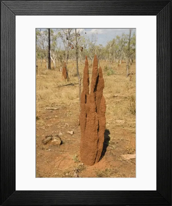 Framed Print : Termite hills in Gregory National Park, Northern Territory, Australia, Pacific Framed Print : Termite hills in Gregory National Park, Northern Territory, Australia, Pacific