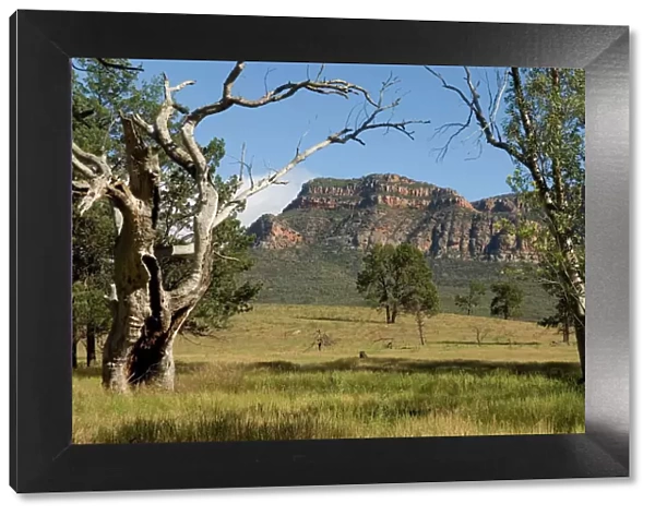 Sandstone escarpment above Wilpuna Valley, Flinders Ranges National Park, South Australia, Australia, Pacific