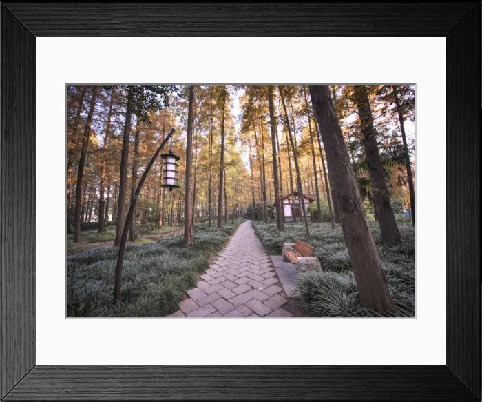 Framed Print : Forest path with bench and lanterns in a West Lake park, Hangzhou, Zhejiang, China, Asia
