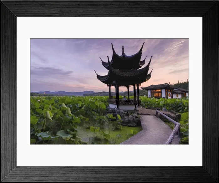 Framed Print : Pavilion, lotus field and zig zag bridge at West Lake, Hangzhou, Zhejiang, China, Asia Framed Print : Pavilion, lotus field and zig zag bridge at West Lake, Hangzhou, Zhejiang, China, Asia