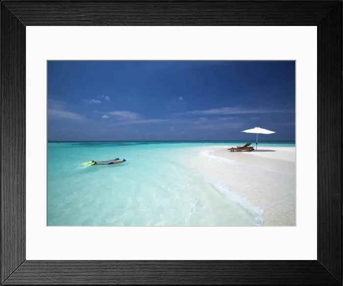 Framed Print : Couple snorkelling in Maldives, Indian Ocean, Asia Framed Print : Couple snorkelling in Maldives, Indian Ocean, Asia