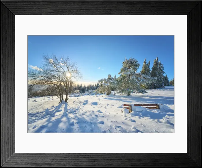 Framed Print : Bench and trees covered in deep snow on mountain Schliffkopf in Northern Black Forest, Baden-Wurttemberg, Germany, Europe Framed Print : Bench and trees covered in deep snow on mountain Schliffkopf in Northern Black Forest, Baden-Wurttemberg, Germany, Europe