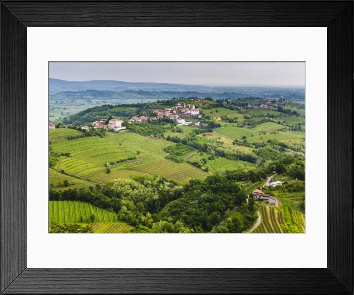 Framed Print : Vineyard countryside surrounding Kozana, Goriska Brda (Gorizia Hills), Slovenia, Europe Framed Print : Vineyard countryside surrounding Kozana, Goriska Brda (Gorizia Hills), Slovenia, Europe