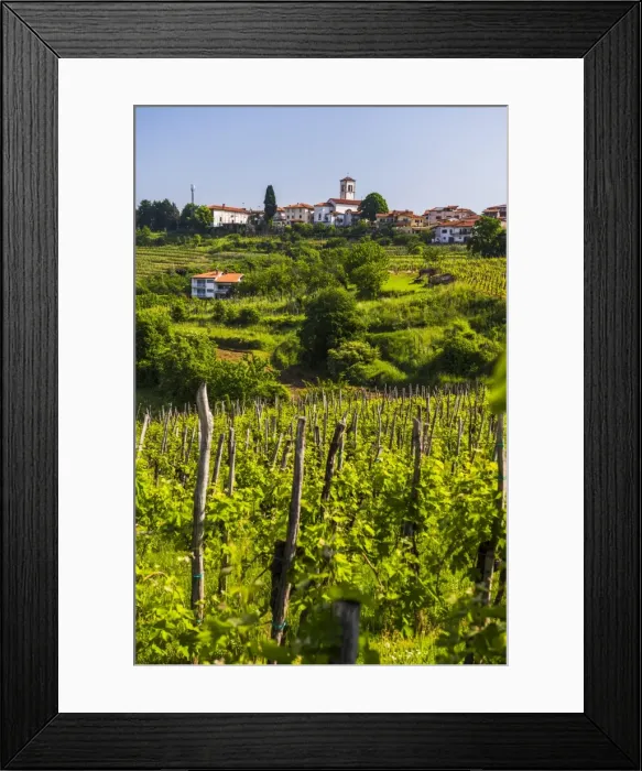 Framed Print : Slovenia countryside and vineyards and the hill top town of Medana, Goriska Brda (Gorizia Hills), Slovenia, Europe Framed Print : Slovenia countryside and vineyards and the hill top town of Medana, Goriska Brda (Gorizia Hills), Slovenia, Europe