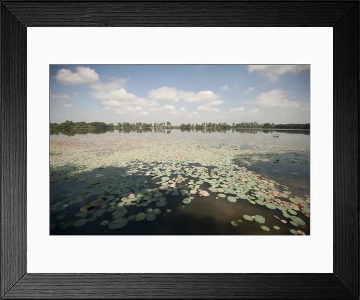 Framed Print : Joysagar, built by Swargadeo Rudra Singha in honour of his mother, Joymoti, Indias largest man-made lake, Sivasagar, Assam, India, Asia Framed Print : Joysagar, built by Swargadeo Rudra Singha in honour of his mother, Joymoti, Indias largest man-made lake, Sivasagar, Assam, India, Asia