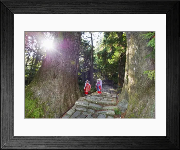 Framed Print : Pilgrims on Daimon-zaka Nachi tokaido pilgrimage route, UNESCO World Heritage Site, Wakayama Prefecture, Honshu, Japan, Asia Framed Print : Pilgrims on Daimon-zaka Nachi tokaido pilgrimage route, UNESCO World Heritage Site, Wakayama Prefecture, Honshu, Japan, Asia