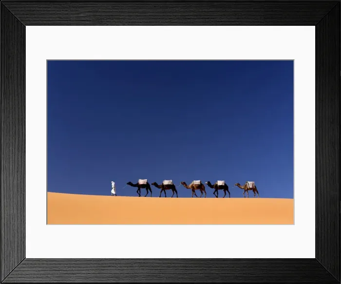 Framed Print : Berber man leading a train of camels over the orange sand dunes of the Erg Chebbi sand sea, Sahara Desert near Merzouga, Morocco, North Africa, Africa Framed Print : Berber man leading a train of camels over the orange sand dunes of the Erg Chebbi sand sea, Sahara Desert near Merzouga, Morocco, North Africa, Africa