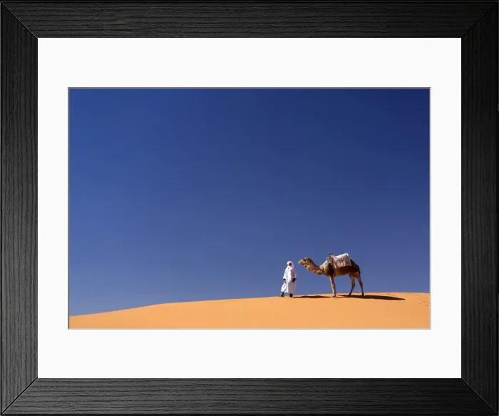 Framed Print : Berber man with camel on the ridge of an orange sand dune in the Erg Chebbi sand sea, Sahara Desert near Merzouga, Morocco, North Africa, Africa Framed Print : Berber man with camel on the ridge of an orange sand dune in the Erg Chebbi sand sea, Sahara Desert near Merzouga, Morocco, North Africa, Africa