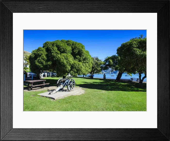 Framed Print : Old cannon in a park in Akaroa, Banks Peninsula, Canterbury, South Island, New Zealand, Pacific Framed Print : Old cannon in a park in Akaroa, Banks Peninsula, Canterbury, South Island, New Zealand, Pacific