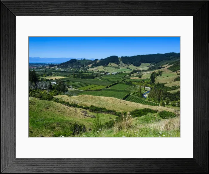 Framed Print : View over the lush valley of the Kahurangi National Park, South Island, New Zealand, Pacific Framed Print : View over the lush valley of the Kahurangi National Park, South Island, New Zealand, Pacific