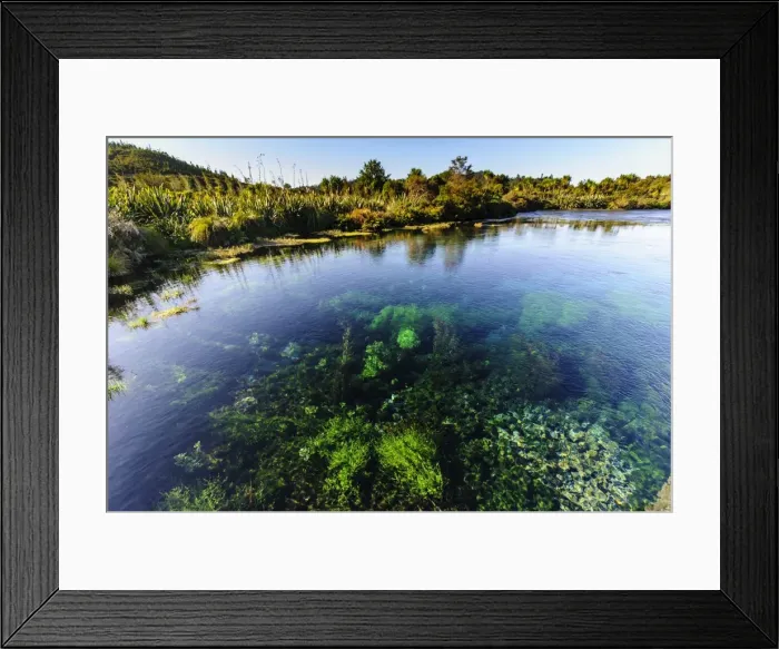 Framed Print : Te Waikoropupu springs declared as clearest fresh water springs in the world, Takaka, Golden Bay, Tasman Region, South Island, New Zealand, Pacific Framed Print : Te Waikoropupu springs declared as clearest fresh water springs in the world, Takaka, Golden Bay, Tasman Region, South Island, New Zealand, Pacific