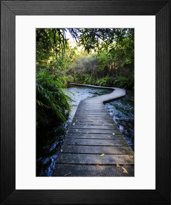 Framed Print : Boardwalk in Te Waikoropupu springs declared as clearest fresh water springs in the world, Takaka, Golden Bay, Tasman Region, South Island, New Zealand, Pacific Framed Print : Boardwalk in Te Waikoropupu springs declared as clearest fresh water springs in the world, Takaka, Golden Bay, Tasman Region, South Island, New Zealand, Pacific