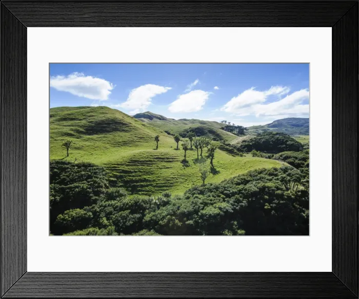 Framed Print : Beautiful green scenery behind Wharariki Beach, South Island, New Zealand, Pacific Framed Print : Beautiful green scenery behind Wharariki Beach, South Island, New Zealand, Pacific