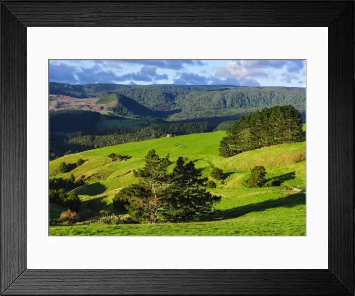 Framed Print : Beautiful scenery in the hinterland of Northland, North Island, New Zealand, Pacific Framed Print : Beautiful scenery in the hinterland of Northland, North Island, New Zealand, Pacific