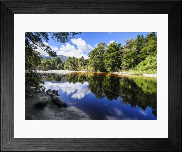 Framed Print : Trees reflecting in the water, Mirror Tarn, Oparara Basin, Karamea, West Coast, South Island, New Zealand, Pacific Framed Print : Trees reflecting in the water, Mirror Tarn, Oparara Basin, Karamea, West Coast, South Island, New Zealand, Pacific