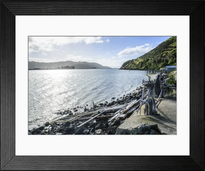 Framed Print : Driftwood on the coastline of the Otago Peninsula, South Island, New Zealand, Pacific Framed Print : Driftwood on the coastline of the Otago Peninsula, South Island, New Zealand, Pacific